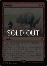 ☆特価【日本語】分岐変容/Divergent Transformations