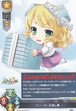 画像1: 【L】クリーナーの消し美