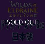 【日本語】エルドレインの森 ドラフトブースターBox