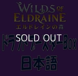 画像1: 【日本語】エルドレインの森 ドラフトブースターBox