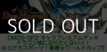 （本商品をご注文の際は入金期限にご注意ください）【デュエル・マスターズTCG】DM25-SP2 キャラプレミアムデッキ ドラゴン娘になりたくないっ！ はじけろスポーツ！青春☆ワールドカップ!!