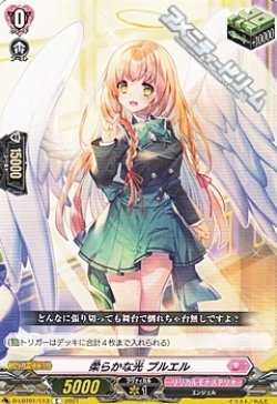 画像1: 【☆特価】【C】柔らかな光 プルエル