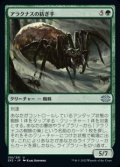 【日本語Foil】アラクナスの紡ぎ手/Arachnus Spinner