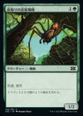 【日本語】命取りの出家蜘蛛/Deadly Recluse