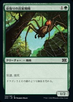 画像1: 【日本語】命取りの出家蜘蛛/Deadly Recluse