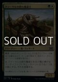 【日本語】クァーサルの群れ魔道士/Qasali Pridemage