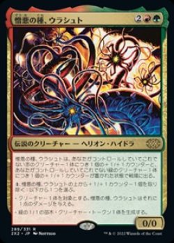 画像1: 【日本語】憎悪の種、ウラシュト/Ulasht, the Hate Seed