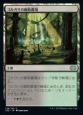 【日本語】ゴルガリの腐敗農場/Golgari Rot Farm