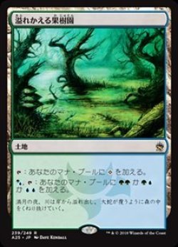 画像1: 【日本語】溢れかえる果樹園/Flooded Grove