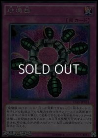 【シークレットレア】破壊輪