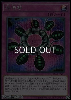 画像1: 【シークレットレア】破壊輪