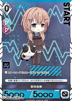 画像1: 【プレミアム】新田由美