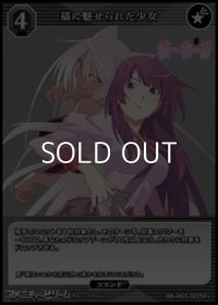 【SR+】猫に魅せられた少女