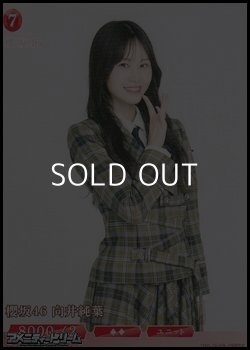 画像1: 【N】櫻坂46 向井純葉