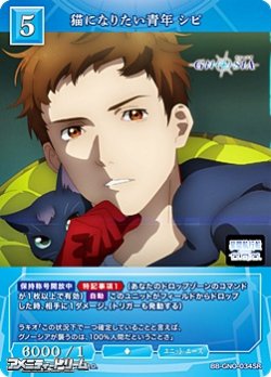 画像1: 【SR】猫になりたい青年 シピ