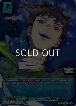 画像1: 【SR+】猫になりたい青年 シピ