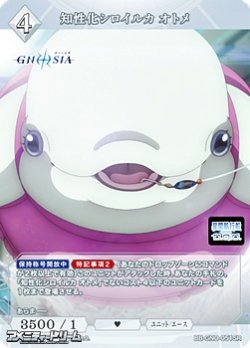 画像1: 【SR】知性化シロイルカ オトメ