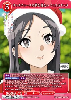 画像1: 【SR】サンタクロースの夢を見ない ミニスカサンタ