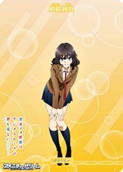 画像2: 【N】青春ブタ野郎はサンタクロースの夢を見ない / 姫路紗良