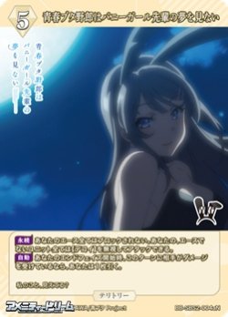 画像1: 【N】青春ブタ野郎はバニーガール先輩の夢を見ない / 桜島麻衣