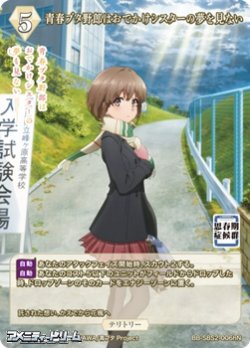 画像1: 【N】青春ブタ野郎はおでかけシスターの夢を見ない / 梓川花楓