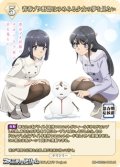 【N】青春ブタ野郎はゆめみる少女の夢を見ない / 牧之原翔子