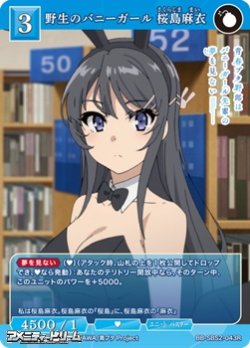 画像1: 【R】野生のバニーガール 桜島麻衣
