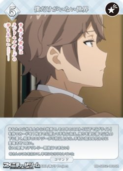 画像1: 【SR】僕だけがいない世界