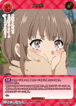 画像1: 【SR+】兄と妹