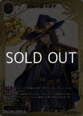 【SSR】憂愁の獣 レオナ