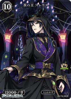 画像1: 【R】茨の王 マレウス