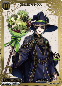 画像1: 【SSR】茨の王 マレウス