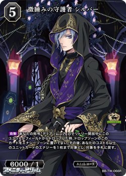 画像1: 【R】微睡みの守護者 シルバー