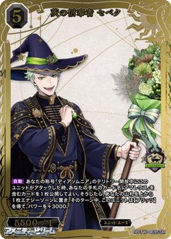 画像1: 【SSR】茨の信奉者 セベク