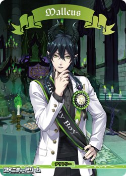 画像1: 【BT】茨の魔女の高尚な精神 ディアソムニア寮 / Malleus