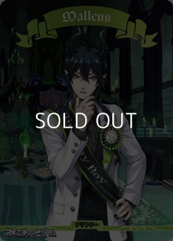 画像1: 【BT】茨の魔女の高尚な精神 ディアソムニア寮 / Malleus