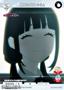 画像1: 【N】窮屈な箱庭 かちぇ