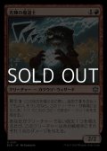 【日本語】光輝の魔道士/Coruscation Mage