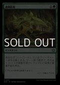 【日本語】過剰防衛/Overprotect