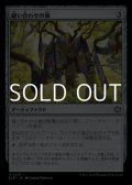 【日本語】縫い合わせの旗/Patchwork Banner