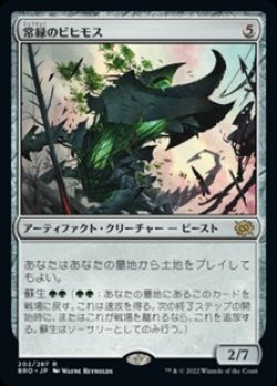 画像1: 【日本語】常緑のビヒモス/Perennial Behemoth