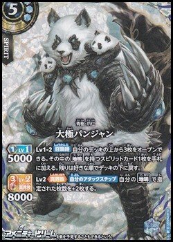 画像1: 【SECRET X】大極パンジャン