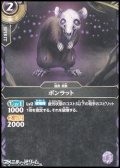【C】ボンラット