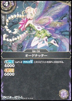 画像1: 【C】オードナッター