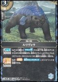 【C】ルリヴォラ