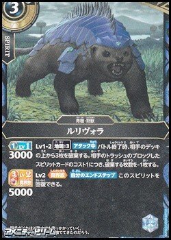 画像1: 【C】ルリヴォラ