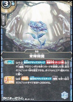 画像1: 【C】青輝棘園