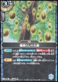 【C】種降らしの大樹