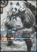 【SECRET X】大極パンジャン