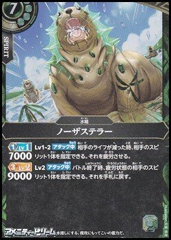 画像1: 【R】ノーザステラー